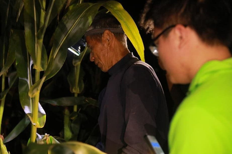 振兴“湘”村，“乡”约祁东：湖南工商大学星火下乡队深入祁东县探寻黄花菜产业数字化转型之旅