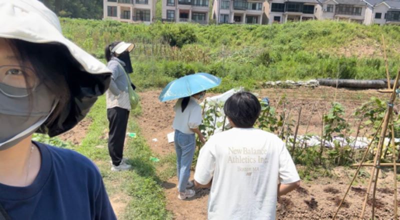 助力竹林鸡品牌 探索乡村振兴之路