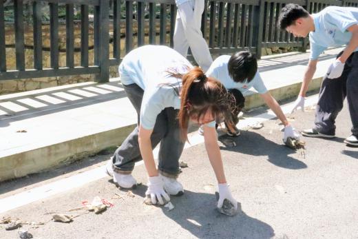 雨后清淤焕新颜，乡村温情暖街间 ——记重庆师范大学初等教育学院“青春飞扬·筑梦夏乡”暑期“三下乡”志愿服务队之灾后清淤