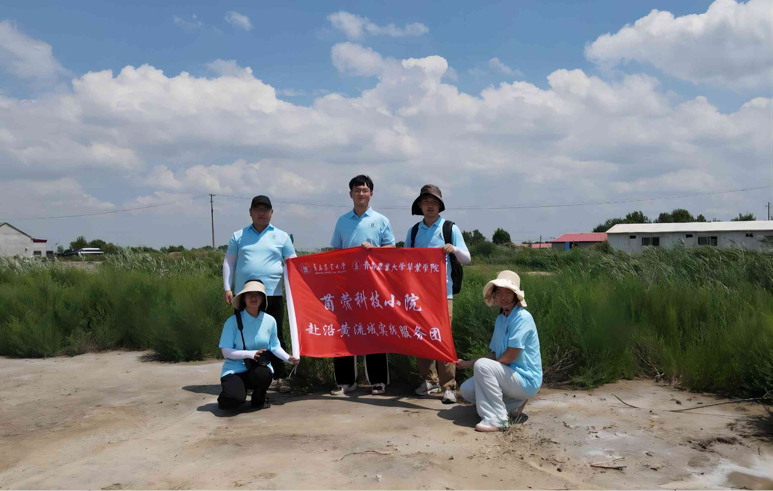 青岛农大“苜蓿科技小院”暑期实践：沿黄流域盐碱地改良的先锋行动