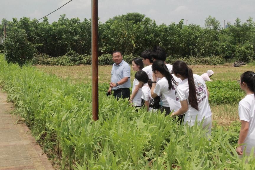 江西软件职业技术大学学子三下乡——“绿”动未来，共享田园梦