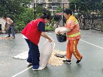 炎炎夏日送关怀，青春志愿助农忙 ——“青春飞扬·季忆夏乡”暑期“三下乡