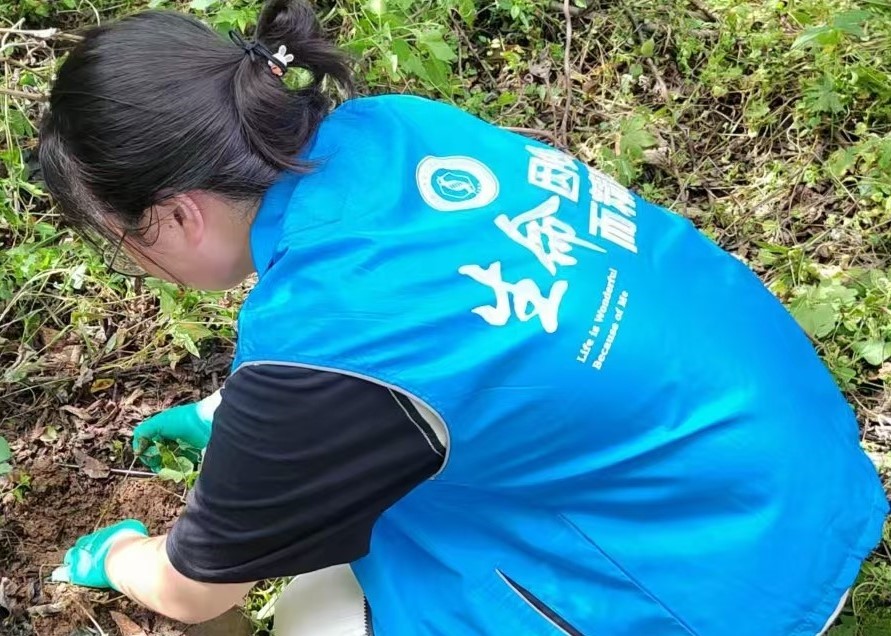 河南师范大学生命科学学院“青入田间”野生山药种质资源调研团队赴多地开展采集实践活动