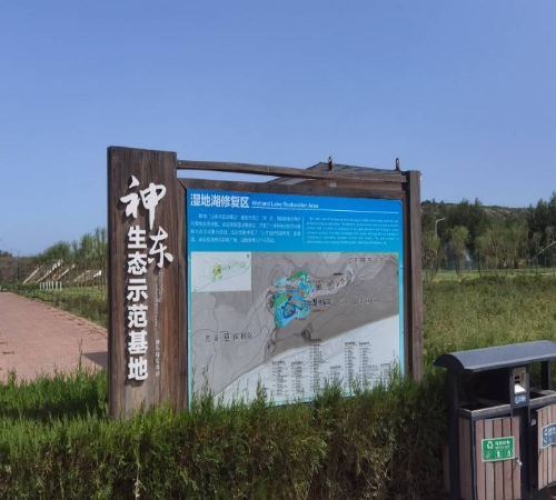 探访神东生态示范基地，领悟绿色矿山建设精髓