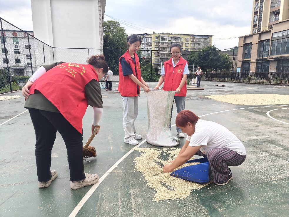 玉米丰收爱心助，老人饭食关怀来