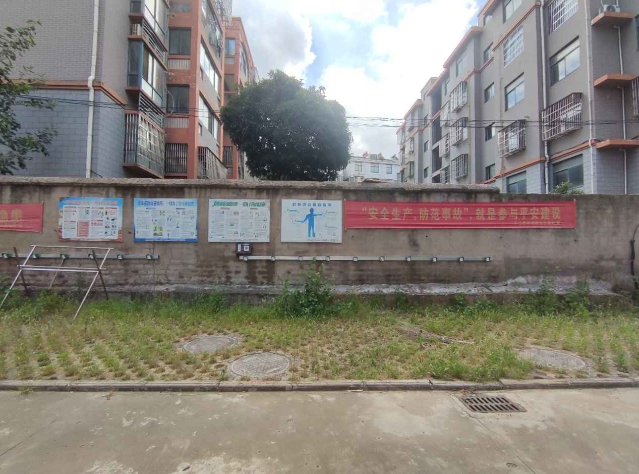 淮北师范大学三下乡“倾听百村支书”活动：探寻乡村振兴之道