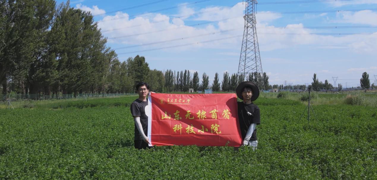 草原深处寻“绿宝”，青岛农大助力草地农业可持续发展