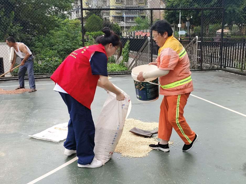 “助老护粮”展风采，暖心行动传佳话