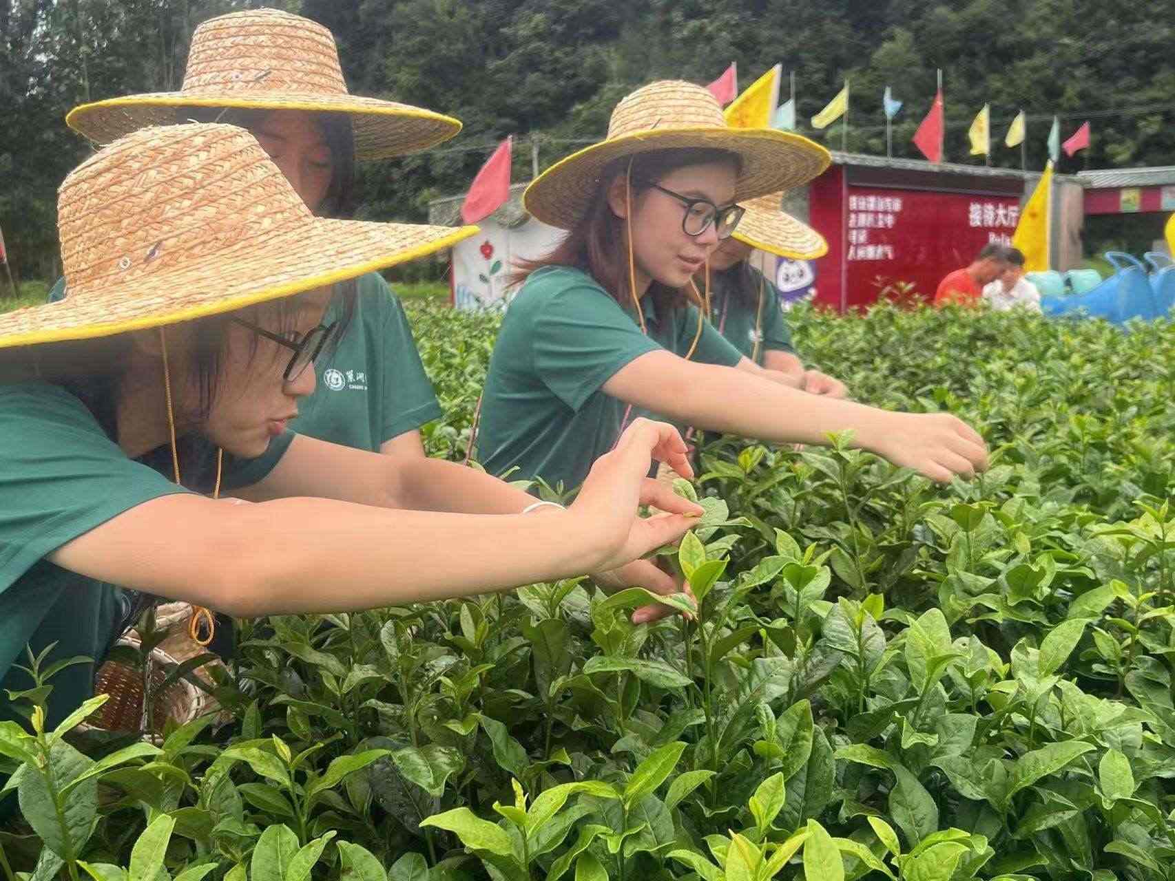 茶礼传承，茶德体悟