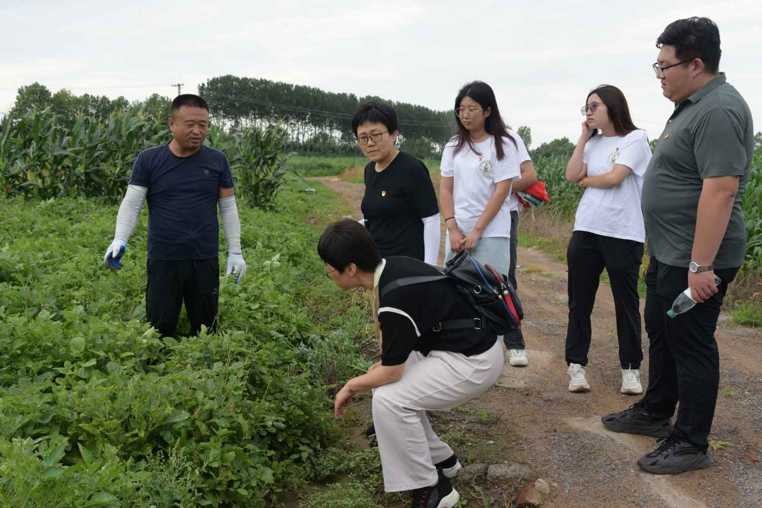 青岛农大科技行：中草药基地与盐碱地治理的绿色探索