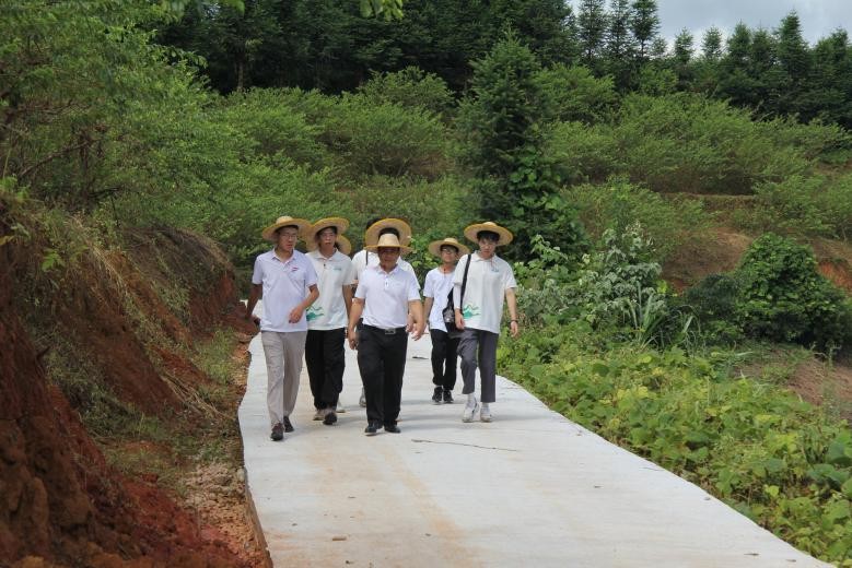 探寻李果秘，赋能乡村兴——记萤火青年突击队三华李调研活动