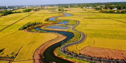 三下乡||强化水湖治理，推动乡村振兴——赴宁乡市菁华铺乡陈家桥村调研