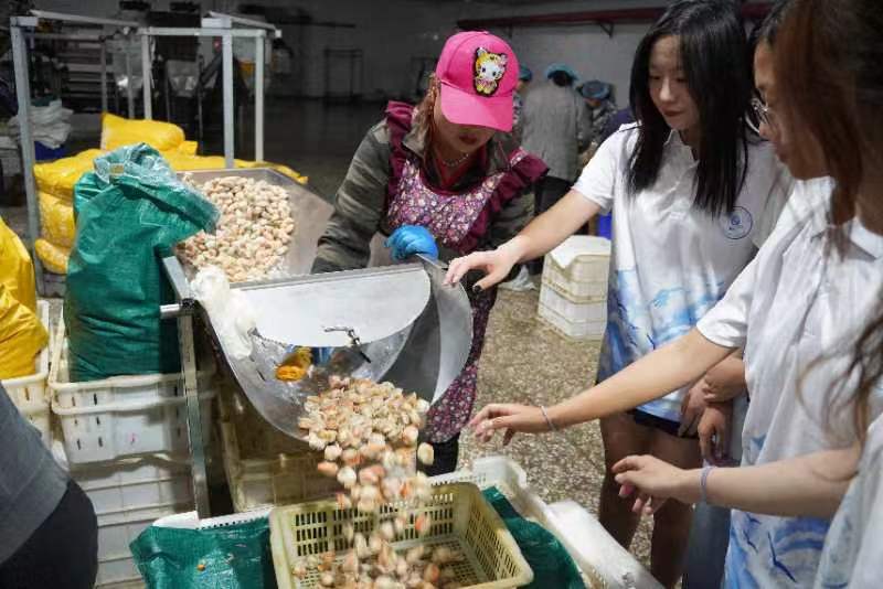 青春三下乡，助农在路上