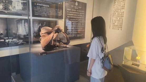 社会实践团第四站，山西大同之旅——中国矿业大学（北京）啊对对对实践团