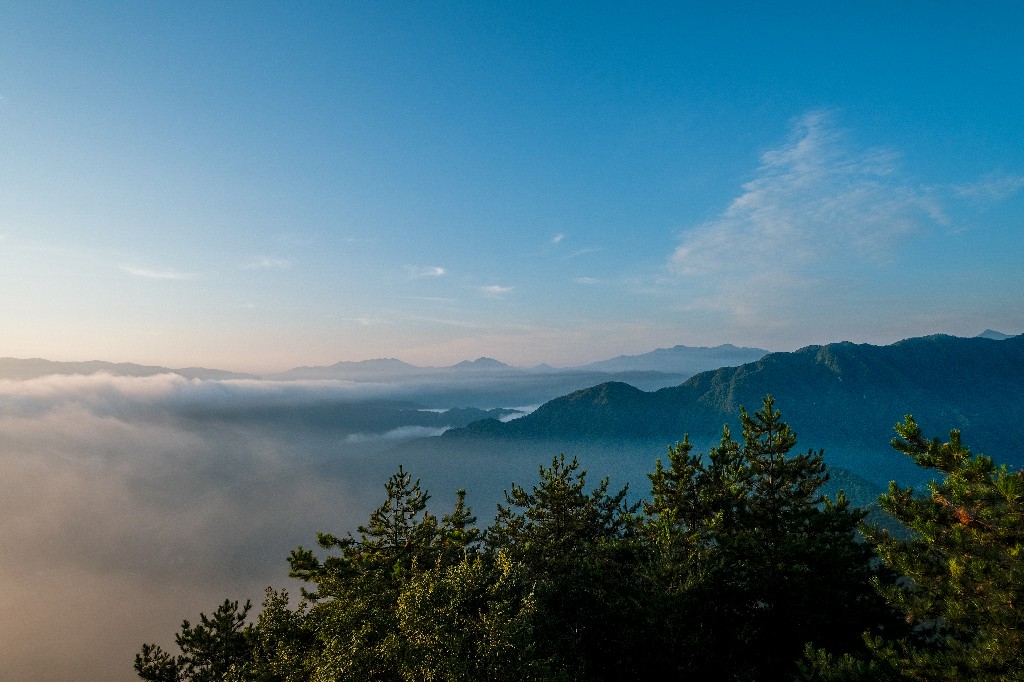 雨水无情人有情，乡村振兴见真情