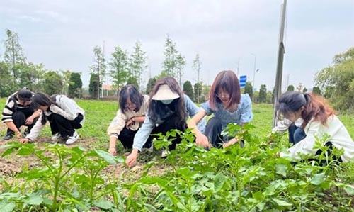 青春在劳动中闪光——蚌埠学院以沉浸式劳动体验践行