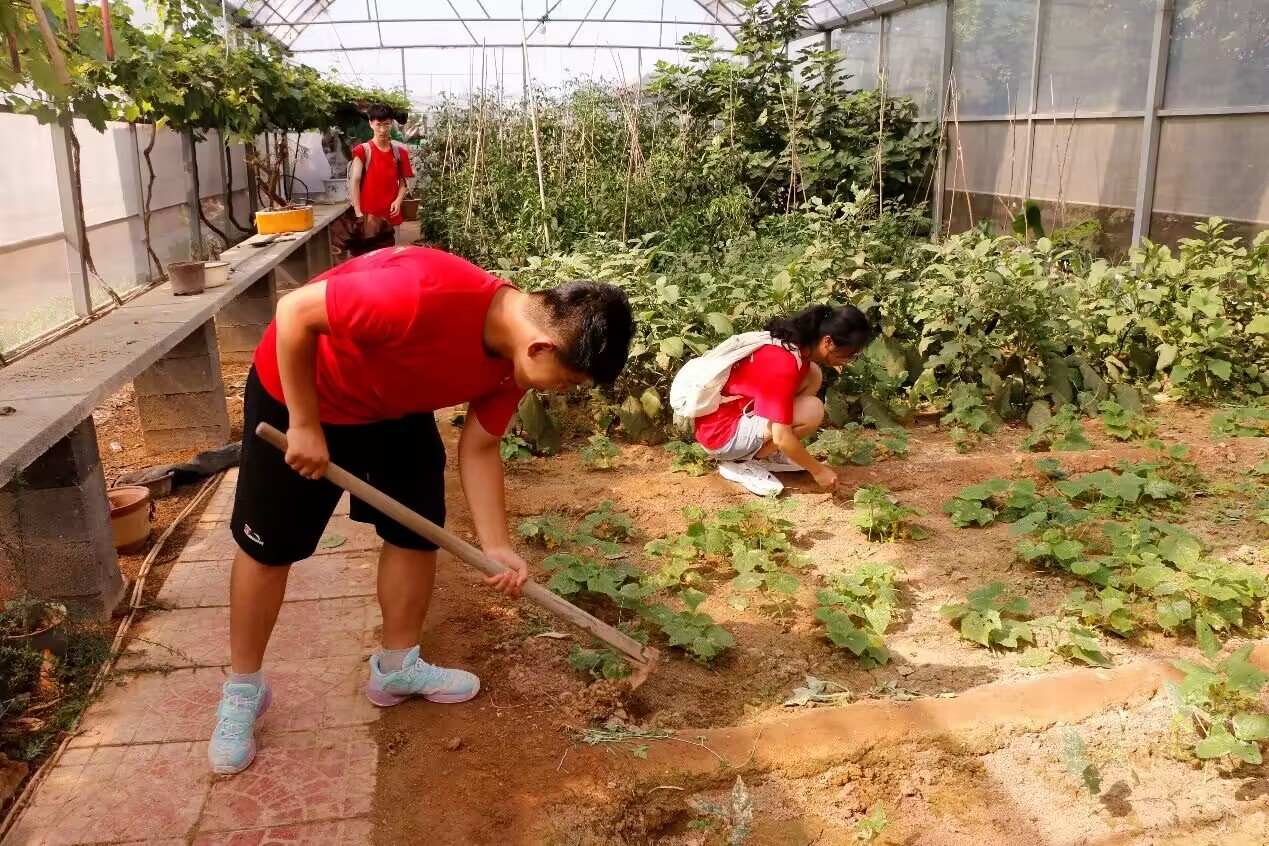 青襟致远|“青襟点水”实践团寿光市三元朱村