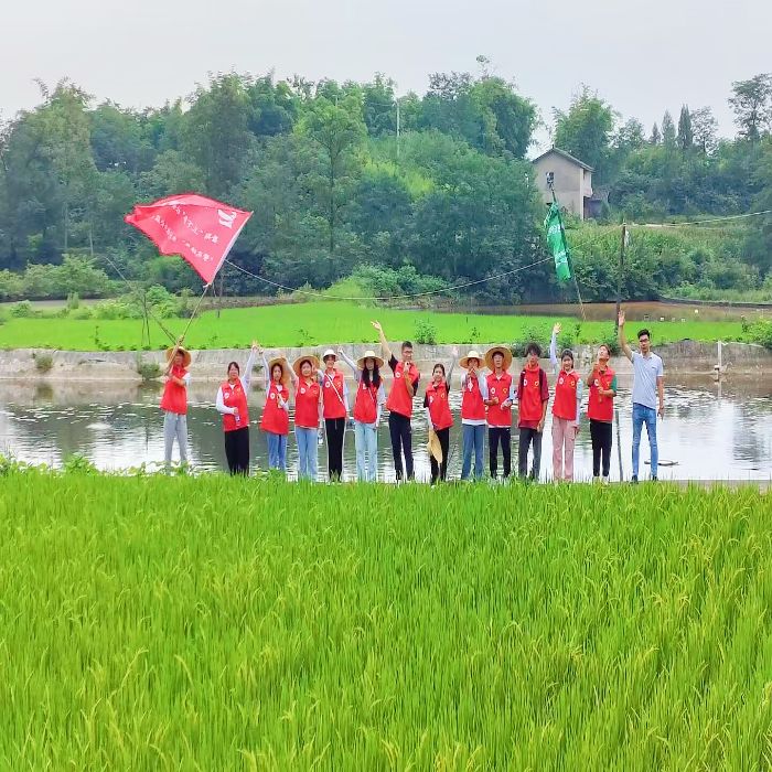 凝聚青年力量，让绿色成为发展的底色——“繁花硕果”乡村振兴公益行动队将生态振兴进行到底