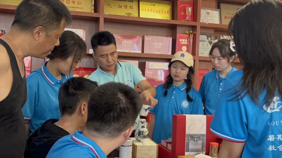 湖南益阳乡行小分队：探访茶乡，寻味茶韵