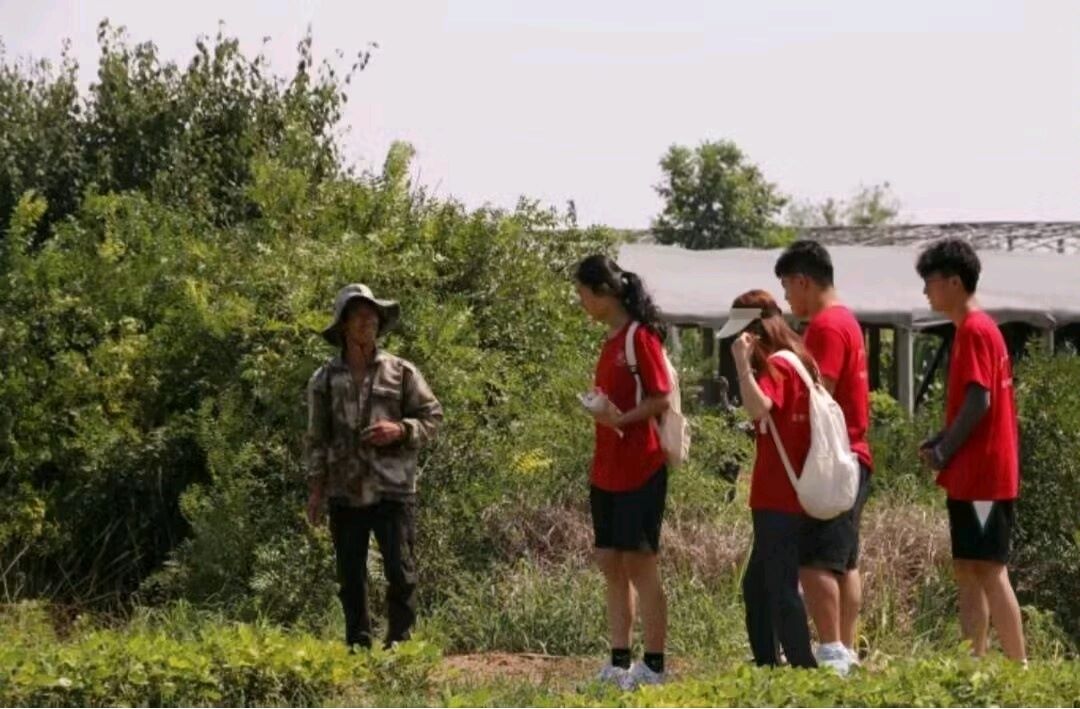 学以致用|“青襟点水”实践团访寿光市野虎村