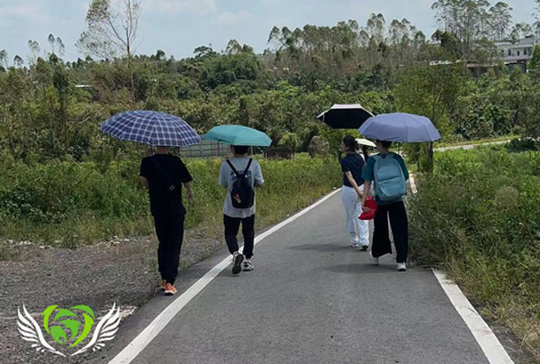 访后塘村茶企，知乡村振兴路——华南师范大学地理科学学院青心砺行实践队